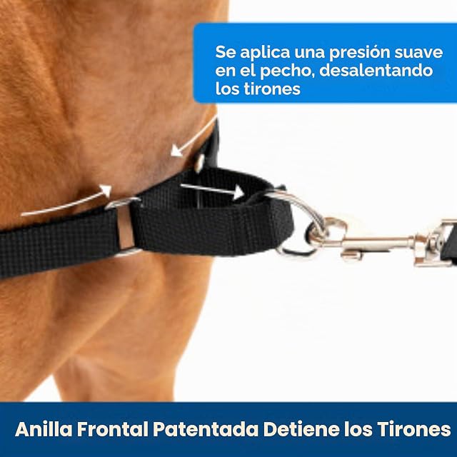 Foto 2 de 7 de PetSafe Easy Walk - Arnés Antitirones para Perros, 4 Puntos de Ajuste, Adiestramiento de Perros, Evita…