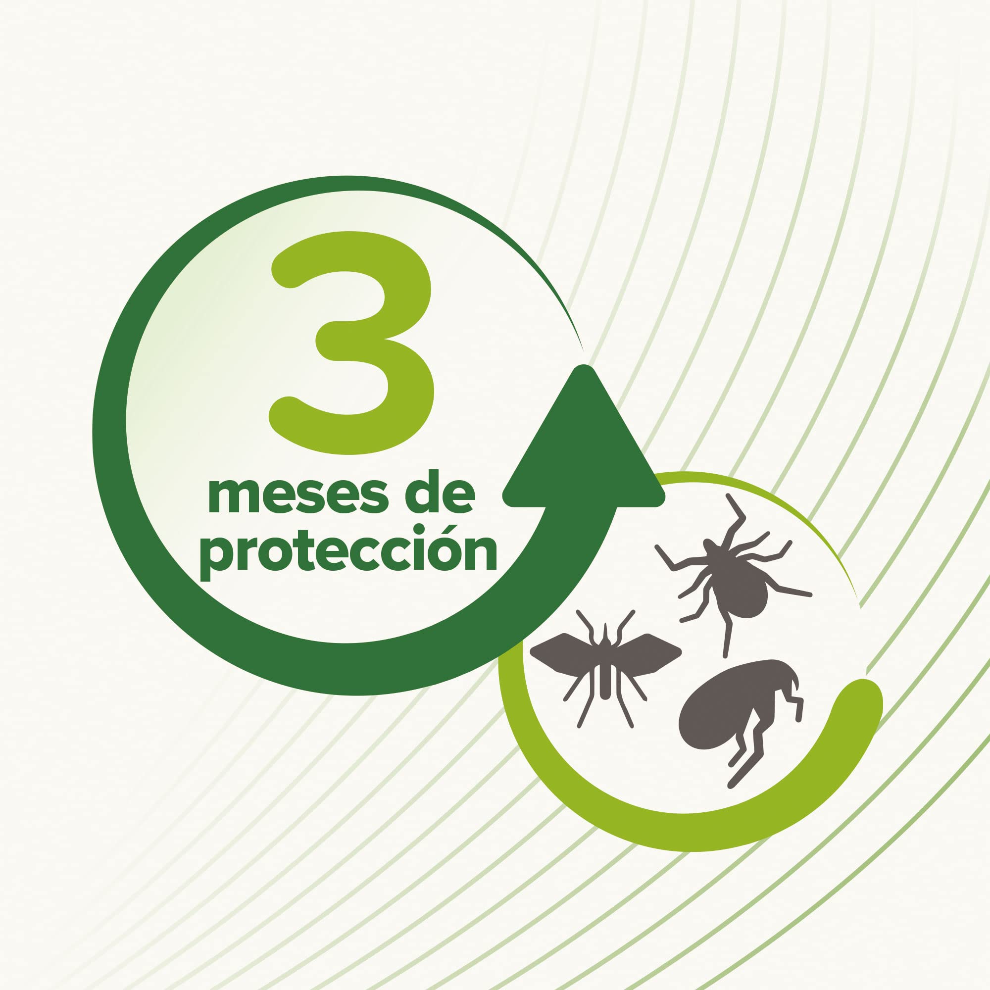Beaphar Collar Repelente Natural para Gatos - 3 Meses de protección Natural contra garrapatas, pulgas y Mosquitos - para Todo Tipo de Gatos 35CM