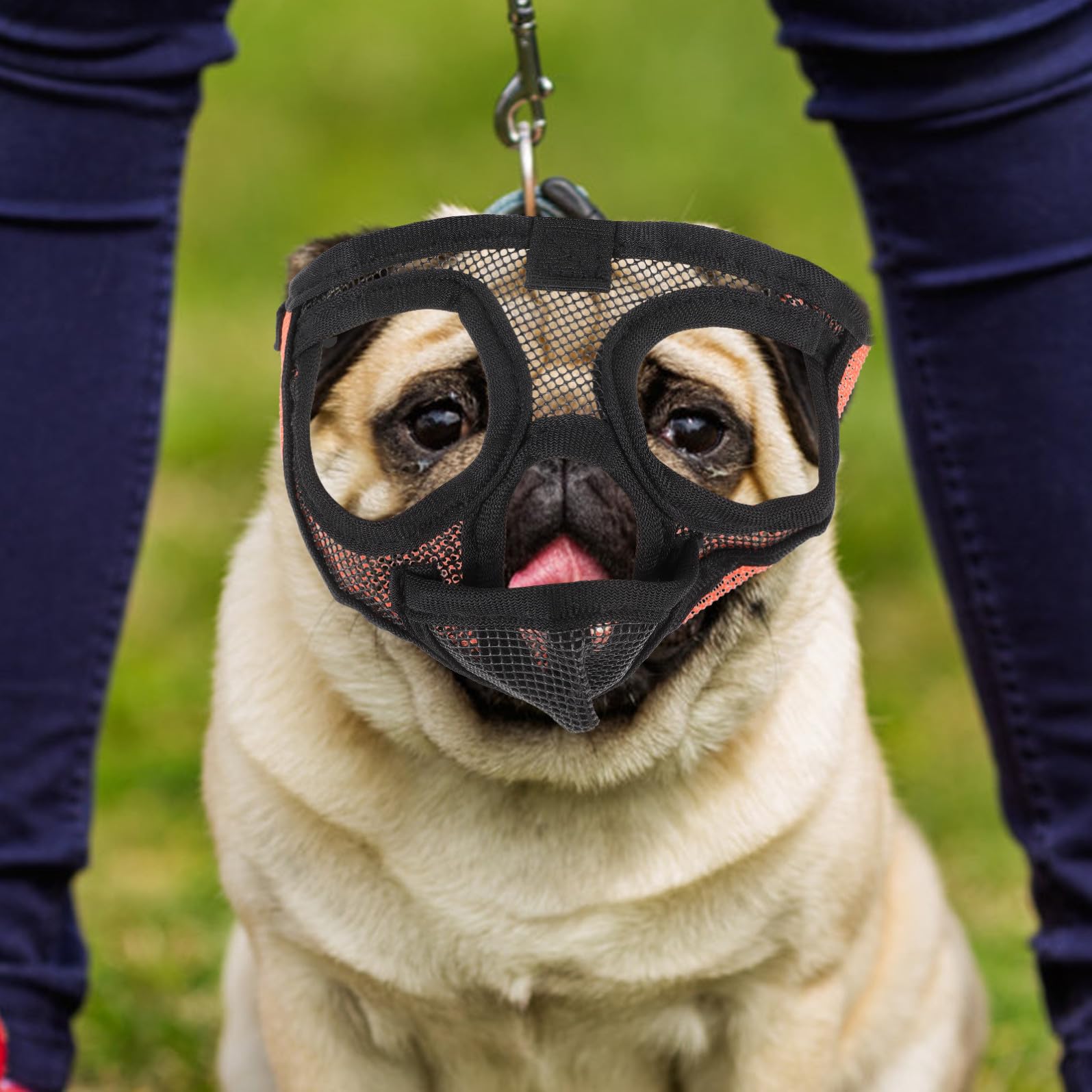 Mipcase 4pièces Muselière Respirante pour Chiens Muzzle Ajustable pour Chiens De Moyenne Confortable Et Durable Accessoire Anti-aboiement pour Bulldog Et Autres Races
