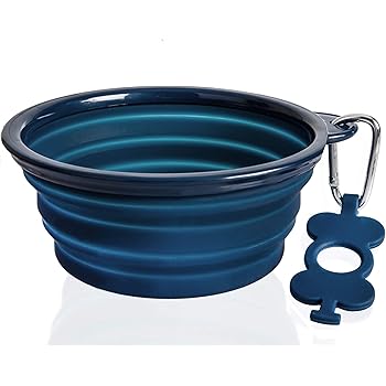 cat going through heat