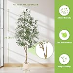 FEELEAD 7ft Arbres oliviers artificiels à l'intérieur - Grand olivier faux 7 pieds (84") avec Pot, Faux Plantes Branches d'olive naturelle et Feuilles réalistes Arbre de soie d'olivier pour la maison