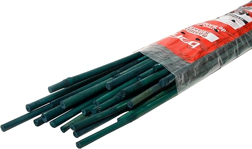 Pack de 25 estacas Bond para pies, Verde