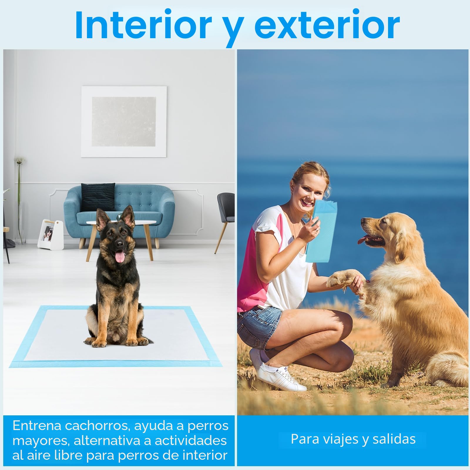 60 Piezas Empapadores Perros, 90 x 60cm Almohadillas Absorbentes, Almohadillas de adiestramiento de Perros y Cachorros, Superficie de Secado Rápido