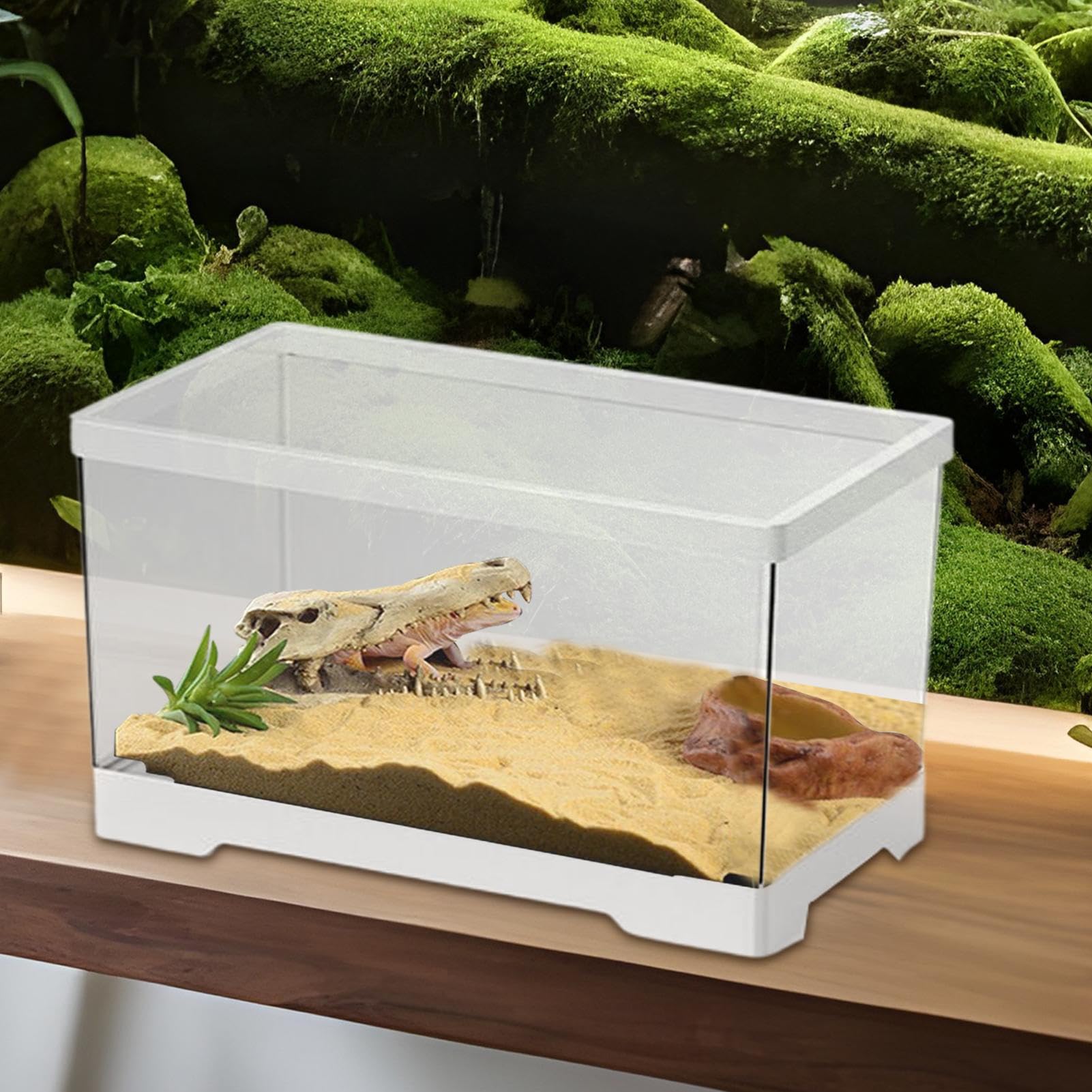 Kit Aquarium Pour Tortues | Enclos Pour Reptiles | Habitat Avec Drainage Intérieur Pour Reptiles Aquatiques, Poissons, Crabes, Grenouilles, Geckos, Caméléons Et Serpents