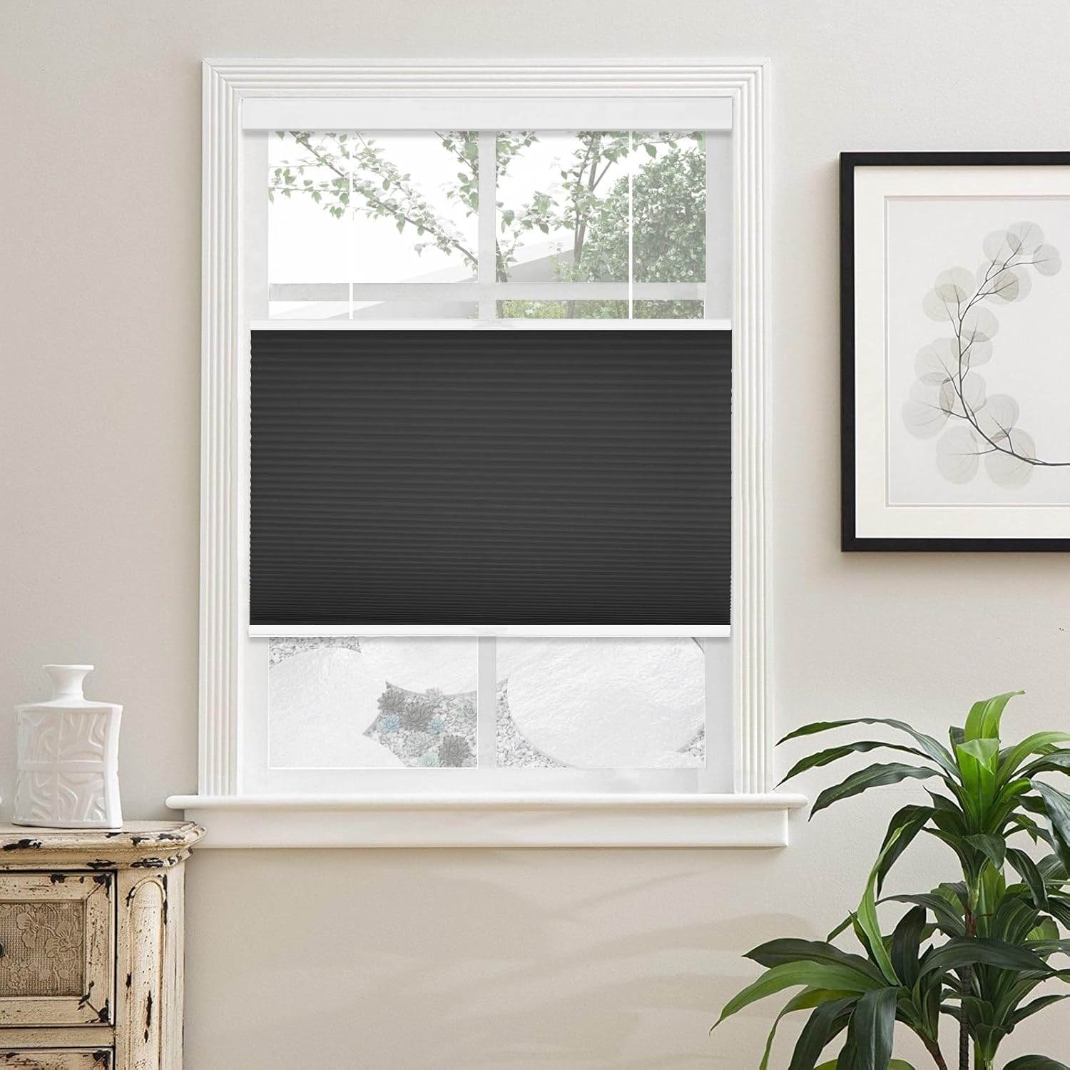 Top Down Bottom Up Blackout Cellular Shades for Windows, Cordless Honeycomb Blinds for Indoor Window, Thermal Insulated Noise Reduction, Custom Size, Black
