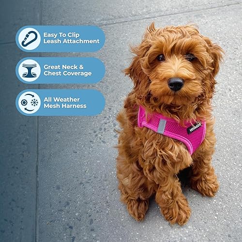 Vista 67 de Best Pet Supplies Voyager Step-in Air - Arnés de malla para todo tipo de clima, reflectante, antitirones, para perro y gato pequeño y mediano, Arnés