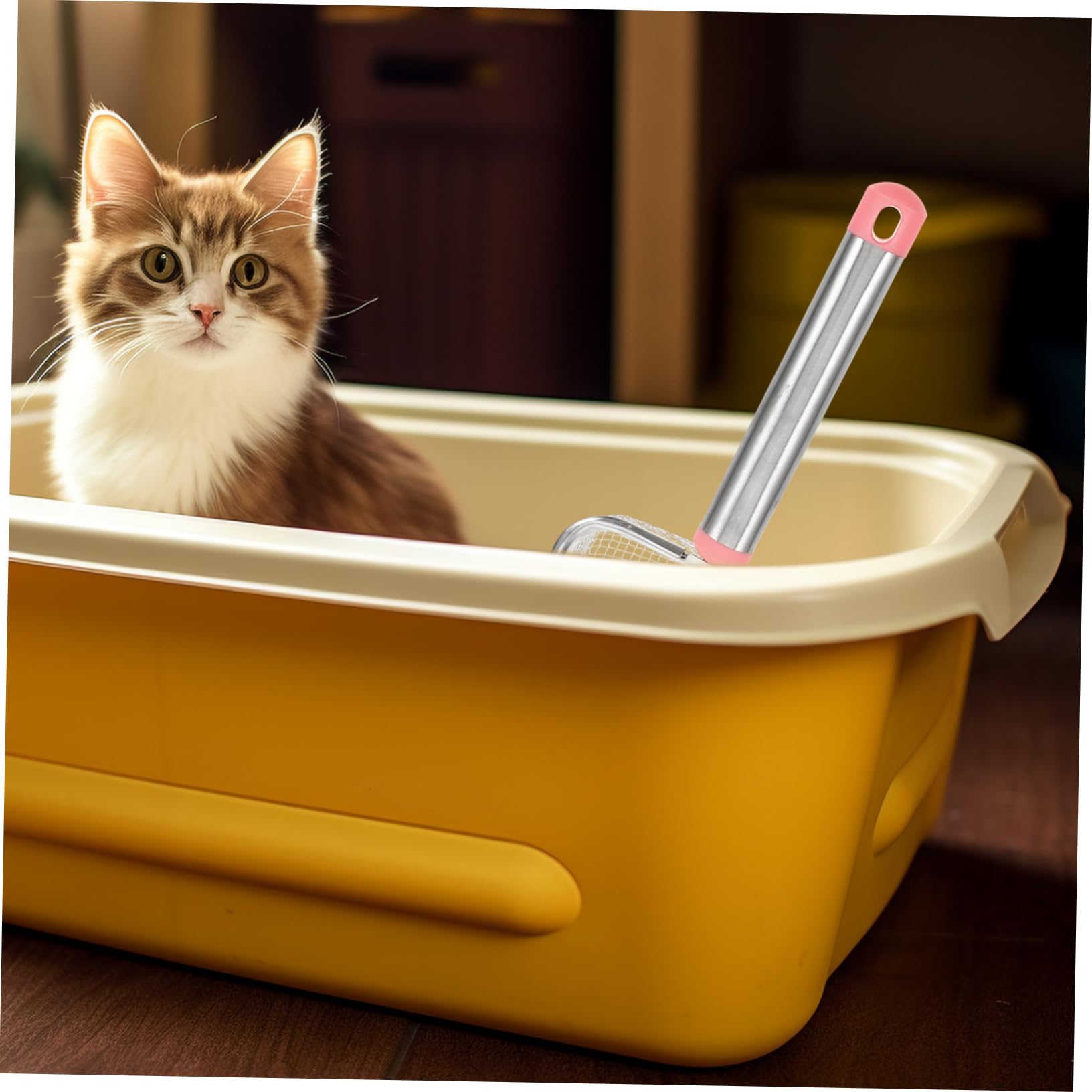 POPETPOP 5 Pièces Pelle à Litière pour Chat Bacs Poubelles Pelle à Crottes De Chat Pelle à Litière en Maille pour Chat Pelle à Litière en Métal Acier Inoxydable Bentonite Animaux