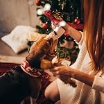 Jouets pour chiens pour les brochettes agressives, Jouet de chien indéstructible pour chiens de race moyenne et grande, vrai bacon aromatisé, Meilleurs jouets de Chew extrême pour les garder occupés