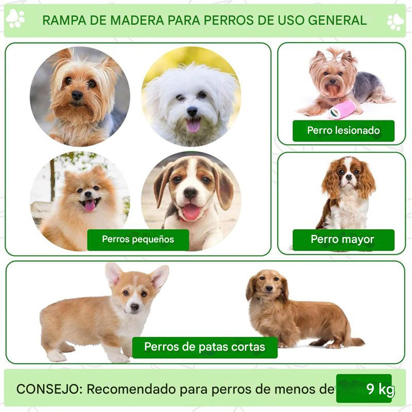Rampa para Perros | Escaleras para Perros para la Cama,Ayuda de Seguridad Antideslizante para Mascotas Mayores Lesionadas y Gatos, Pasos para Dormitorio Interior Sofá Sala de Estar Hogar