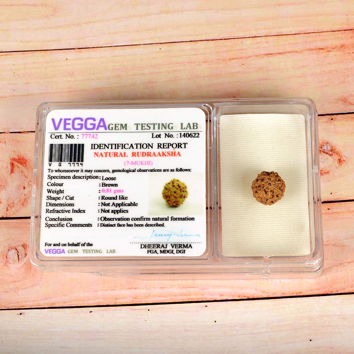 Reiki Crystal Products Original Certified 7 Mukhi Rudraksha Seven Faced Rudraksha Bead (Color : Brown)-image-32