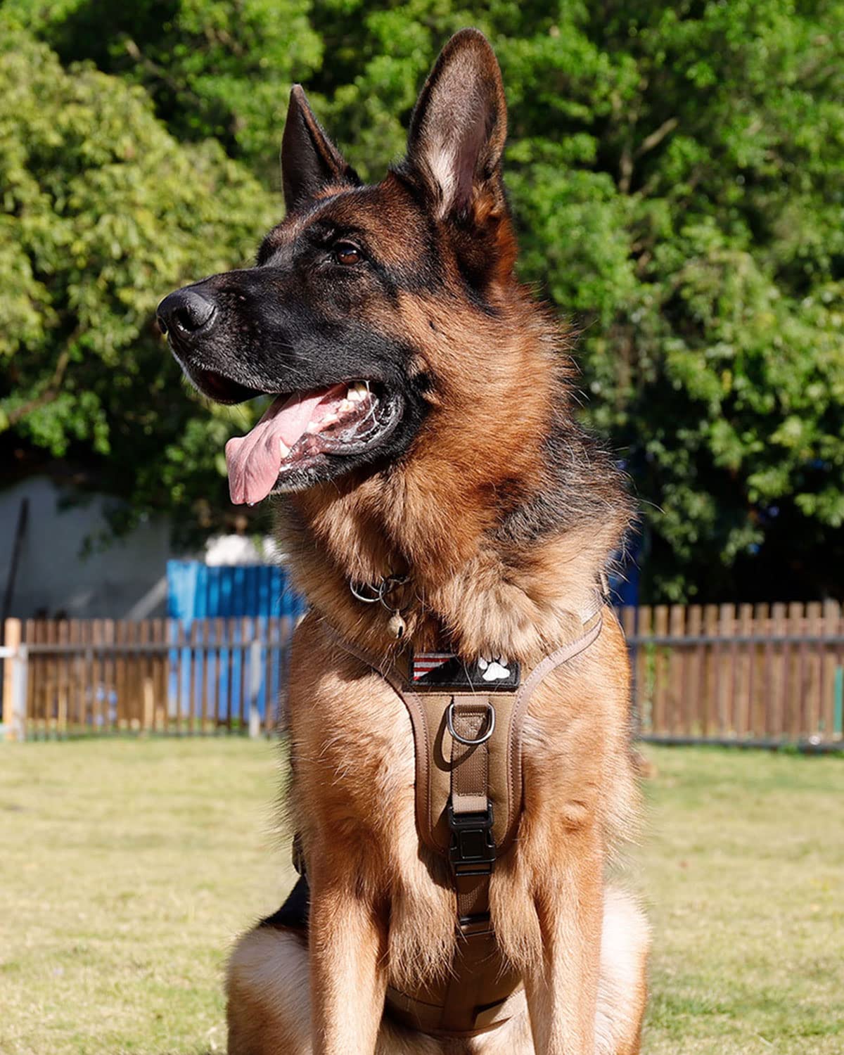 Petnanny - Arnés táctico para perros grandes, cobertura completa del cuerpo en entrenamiento con 2 parches reflectantes para perros, asa, paneles de gancho y bucle, chaleco Molle para perros