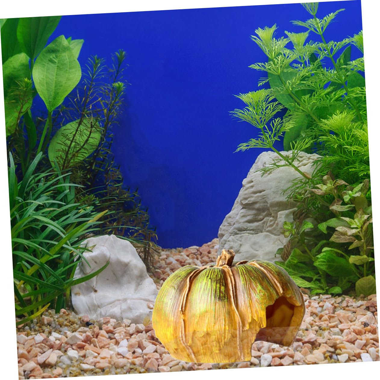 Alipis Grotta Decorativa Per Acquario Zucca Accessorio Per Acquario in Resina Decorazione e Per Pesci e Gamberetti Paesaggistico Per Acquari Piccoli e Compatti