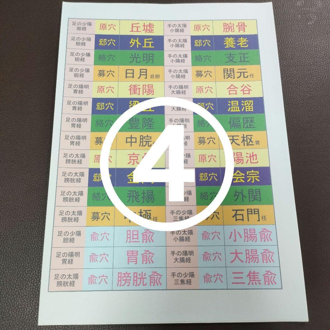 Amazon.co.jp: 自分でつくれる単語帳 要穴暗記 国家試験 鍼灸師 経絡  