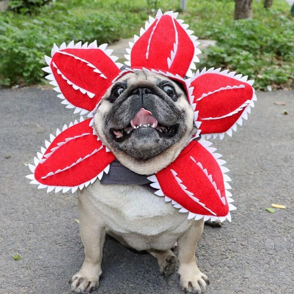Boinas Para Perros Y Gatos - Accesorio De Cosplay Ajustable, Tela De Poliéster Suave, Ideal Para Disfraces, Fotos Y Festividades