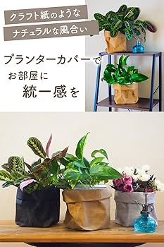 観葉植物の植木鉢カバー2セット 観葉植物の植木鉢カバー2セット