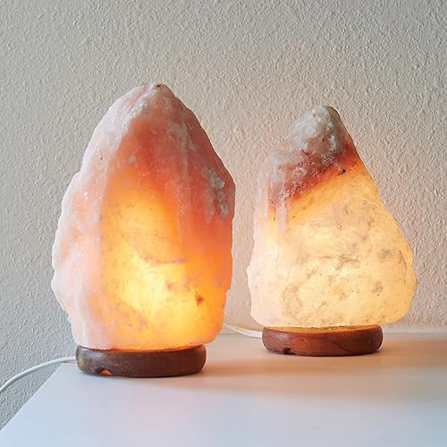 Miniatura 7 de Cable de accesorio LED con cadena de una sola bombilla, cable de 6 pies con una (1) bombilla LED de candelabro C7E12 y clip, pueblo de Navidad,