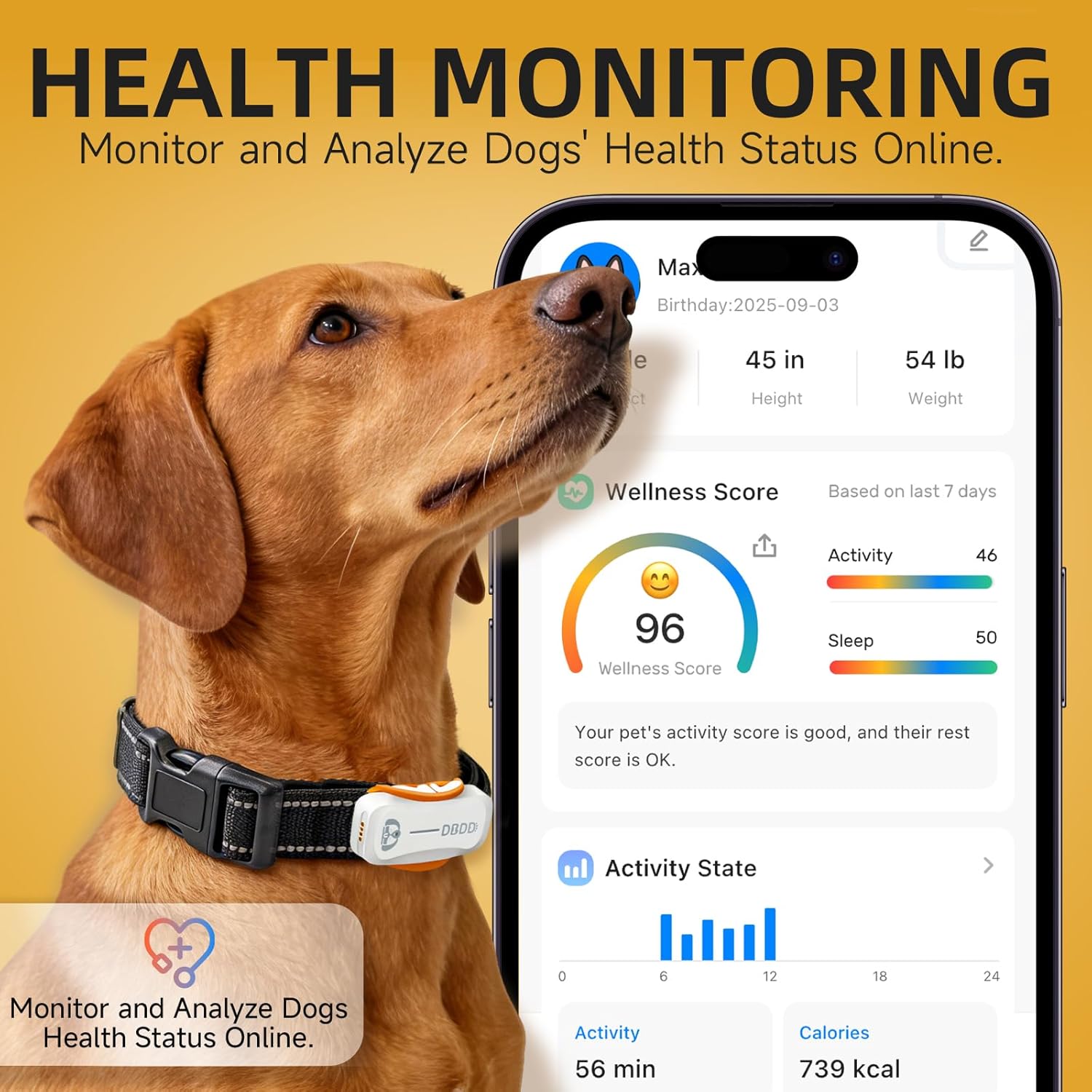 AI GPS Tracker for Dogs (30lbs+), Real Time Location and AI Health Assistant, Electronic Fence, Waterproof, iOS and Android Universal (D5-White)