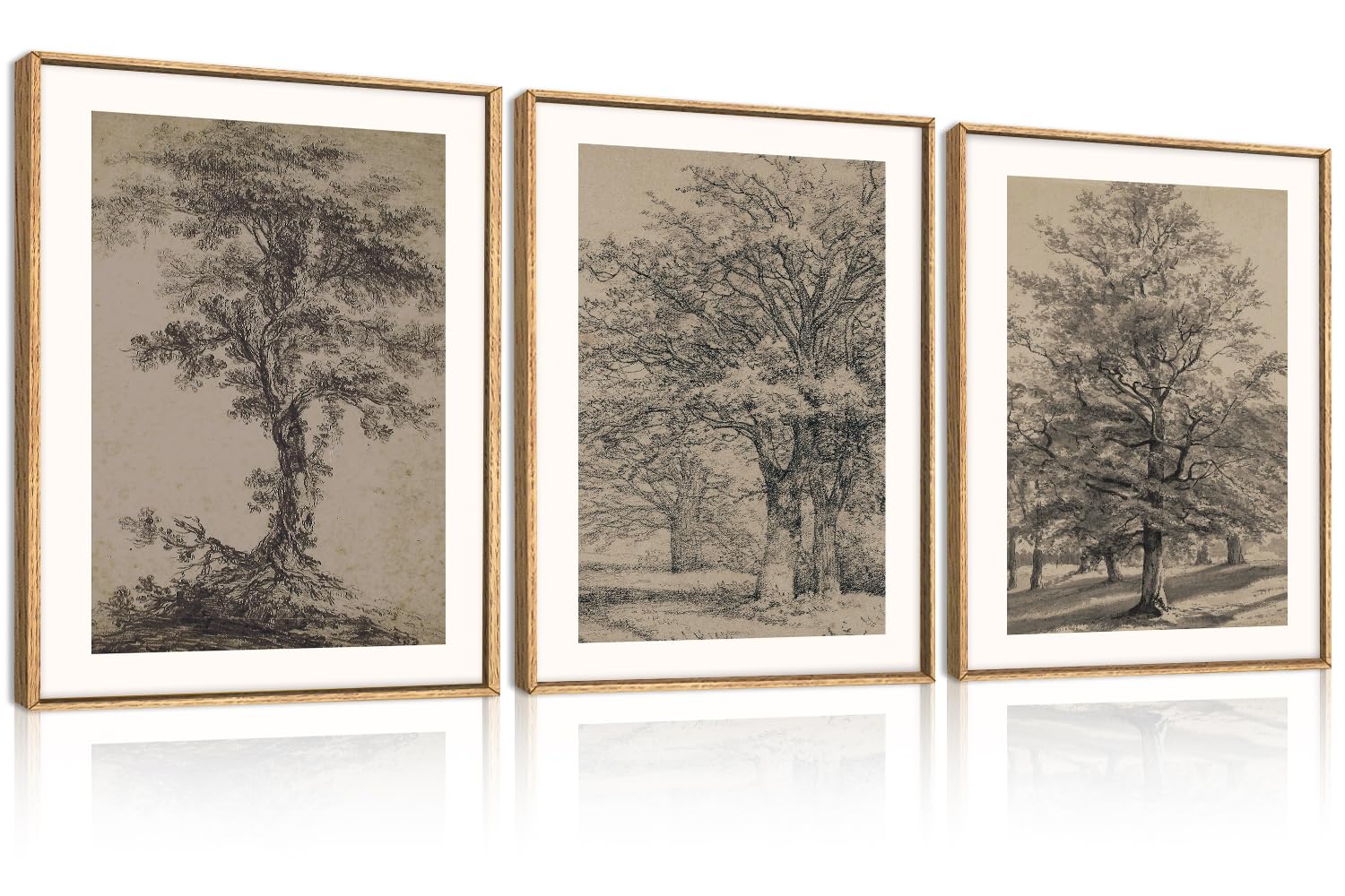 KAIRNE Vintage Tree Sketch Landscape Framed Canvas Wall Art Set-12"x16"x3 | Antique Tree Drawings Wall Decor,Retro Forest Art Prints,Neutral Brown Artwork for Living Room,Bedroom,Farmhouse,Office