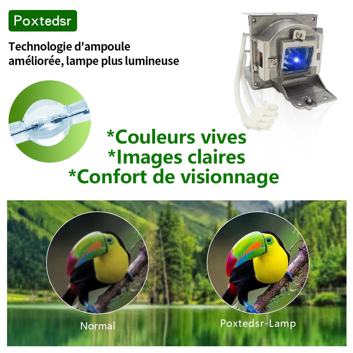 5J.J9V05.001 Lampada di ricambio per proiettore compatibile con BENQ ML7437, ML7549, MS619ST, MS630ST, MW632ST, MX620ST, MX631ST, con alloggiamento
