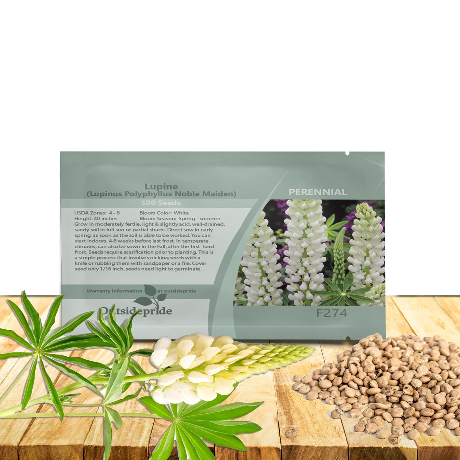 Outsidepride Noble Maiden White Russells Lupine Seeds - 500 Pcs Perennial, Self-Sowing, Cold Hardy & Frost Tolerant Wildflower Seeds for Fall Planting