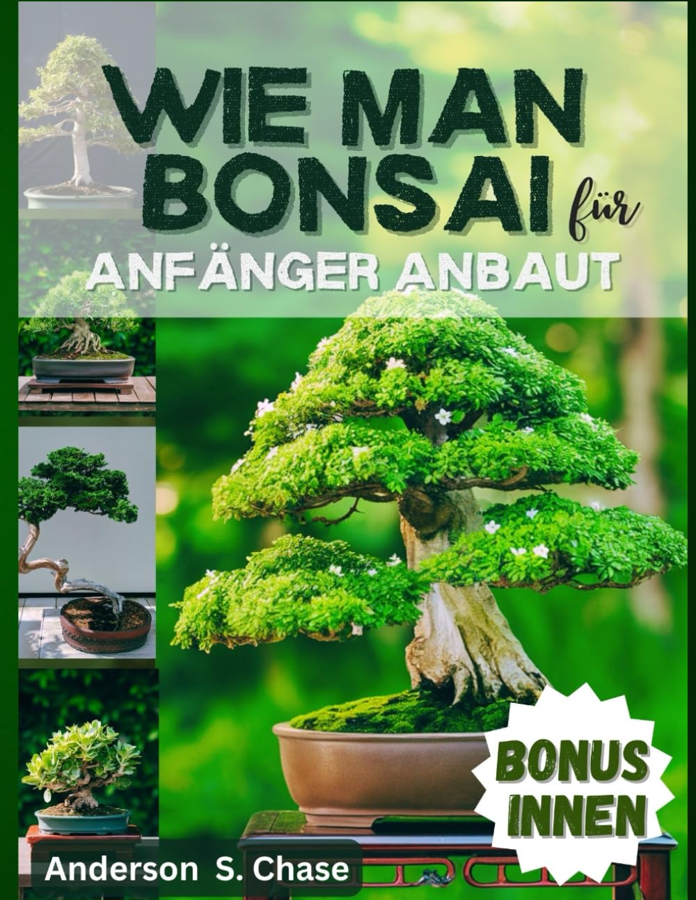 Wie man Bonsai fr Anfnger Anbaut: Umfassende Anleitung zum einfachen  Zchten, Auswhlen und Pflegen von Bonsai-Bumen : Chase, Anderson S.:  Amazon.de: Bcher