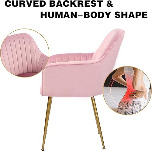 Miniatura 18 de thksbought Juego de 2 sillas de terciopelo y sillas decorativas tapizadas con patas chapadas en oro para sillas de sala de estar (gris) Conjunto