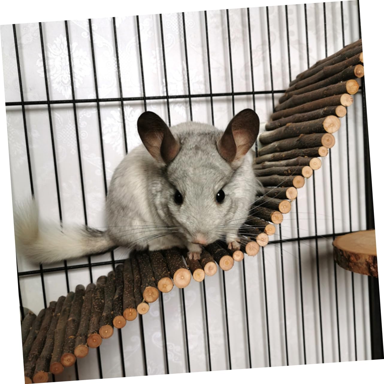 INOOMP 2stücke Kletterleiter Aus Holz Für Kleintiere Hängende Brücke Und Spielzeug Für Hamster Mäuse Und Andere Nager Zum Spielen Und Kauen
