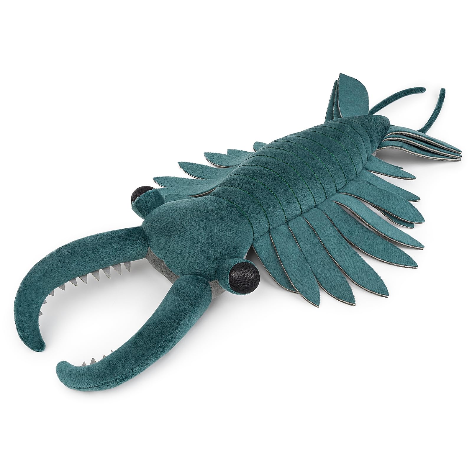 ♾️超稀少!! アノマロカリス＆ウミサソリのぬいぐるみ（2体）＆ちびっこ画伯作品 ♾️超稀少!! アノマロカリス＆ウミサソリのぬいぐるみ2体