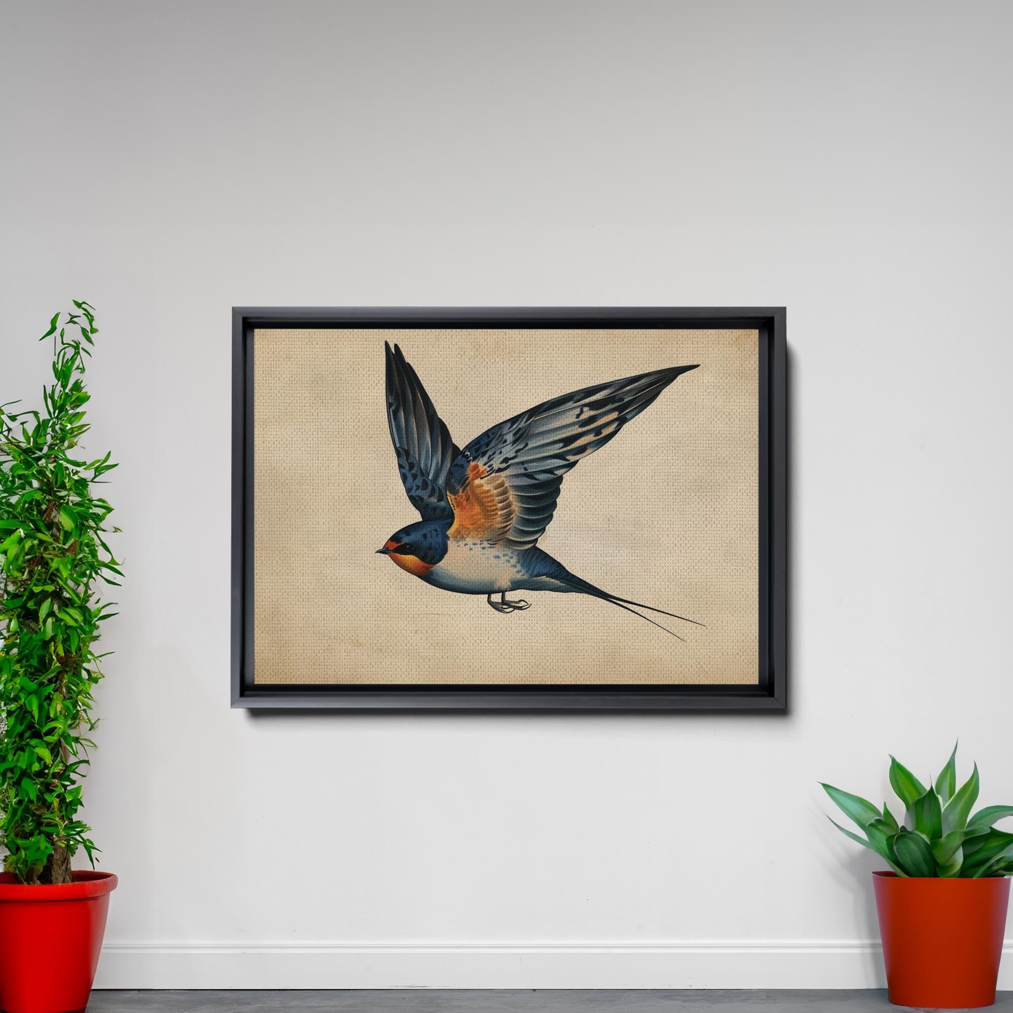 USA Vintage swallow canvas art キャンバスアート Amazon.com: SUDDENSUPPLY Vintage Swallow Print, Swallow Painting