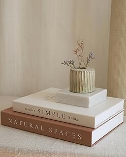 25 Decorative Bookshelf Styling Ideas With Vases And Candles 33 Beautiful Decorative Books - Set of 2 Boxes Enhance Your Coffee Table, B...