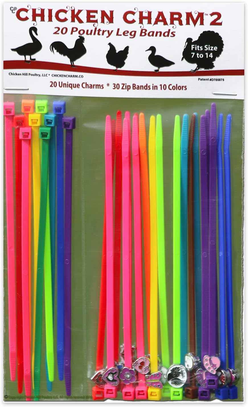 20 Chicken Charm 2 Poultry Leg Bands - Fits Sizes 6 to 14