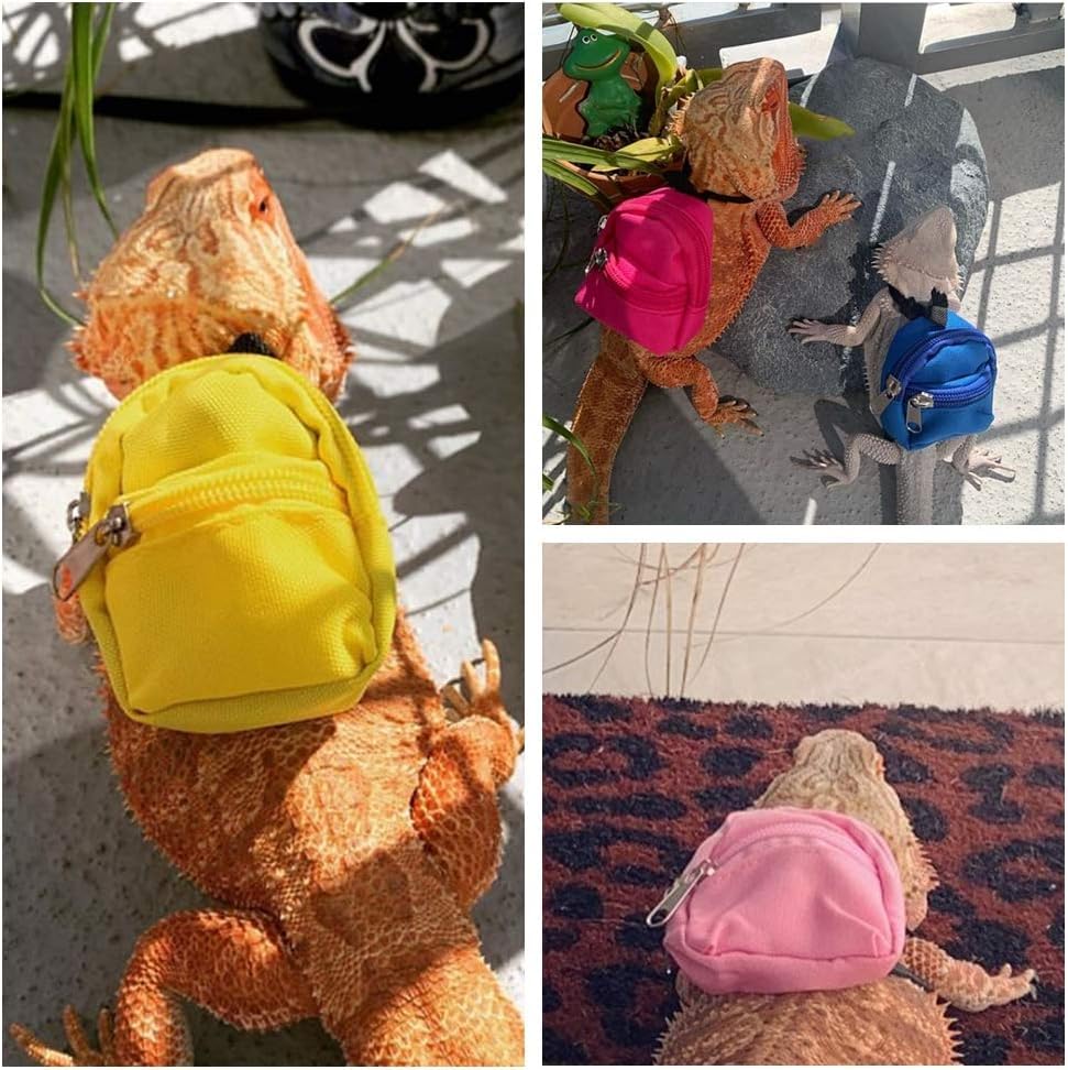 Image of Bearded Dragons Harness Leashes Set Cute Backpack Back to School Design for Small Pets Reptile Lizard Crested Gecko Chameleon Rat Hamster Squrriel Ferret Photo Shoot (Pink)