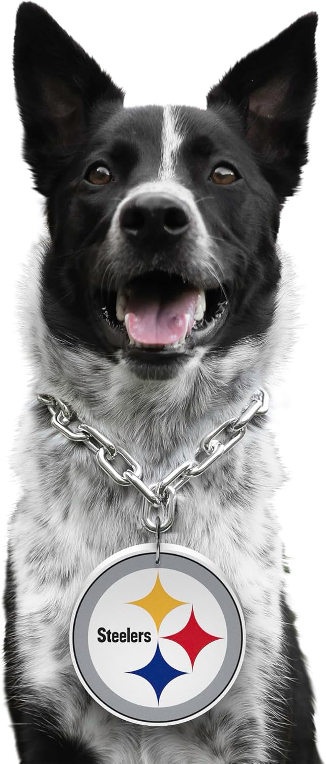 Littlearth NFL Pet Fan Chain