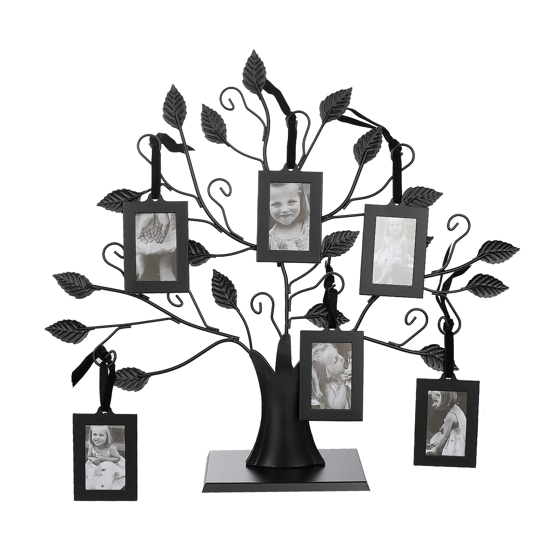 Family Tree Photo Frame Black 6 Hanging Frames Multi Photo Picture Display