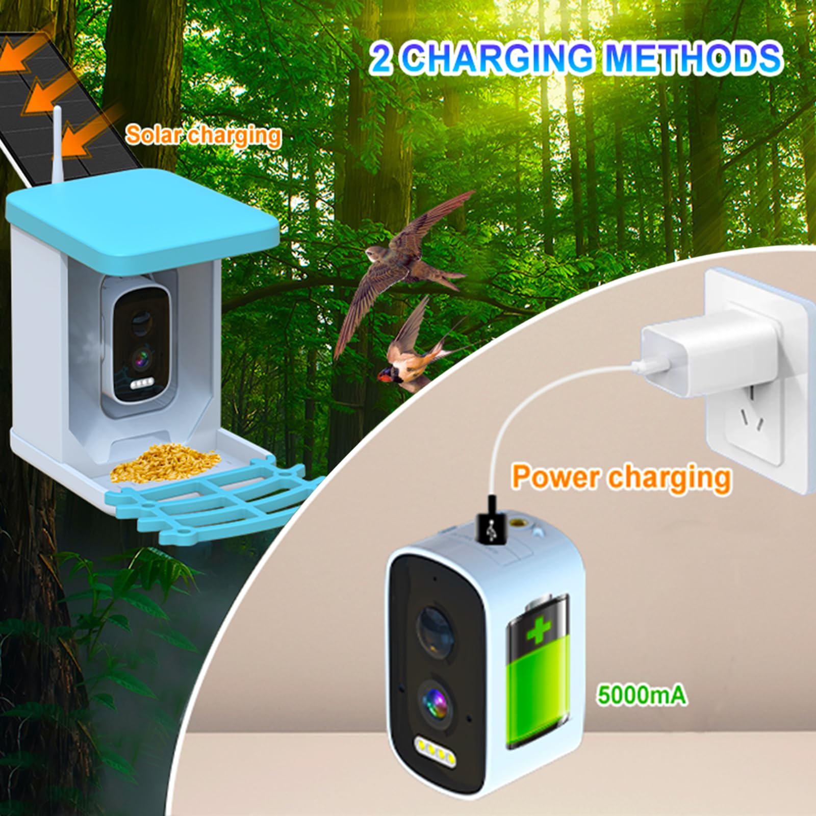 Nichoir avec Caméra, Maison d’Oiseaux avec Caméra, Mangeoire Vidéo WiFi | pour Oiseaux, Distributeur Intelligent avec Panneau Solaire & Reconnaissance IA des Oiseaux