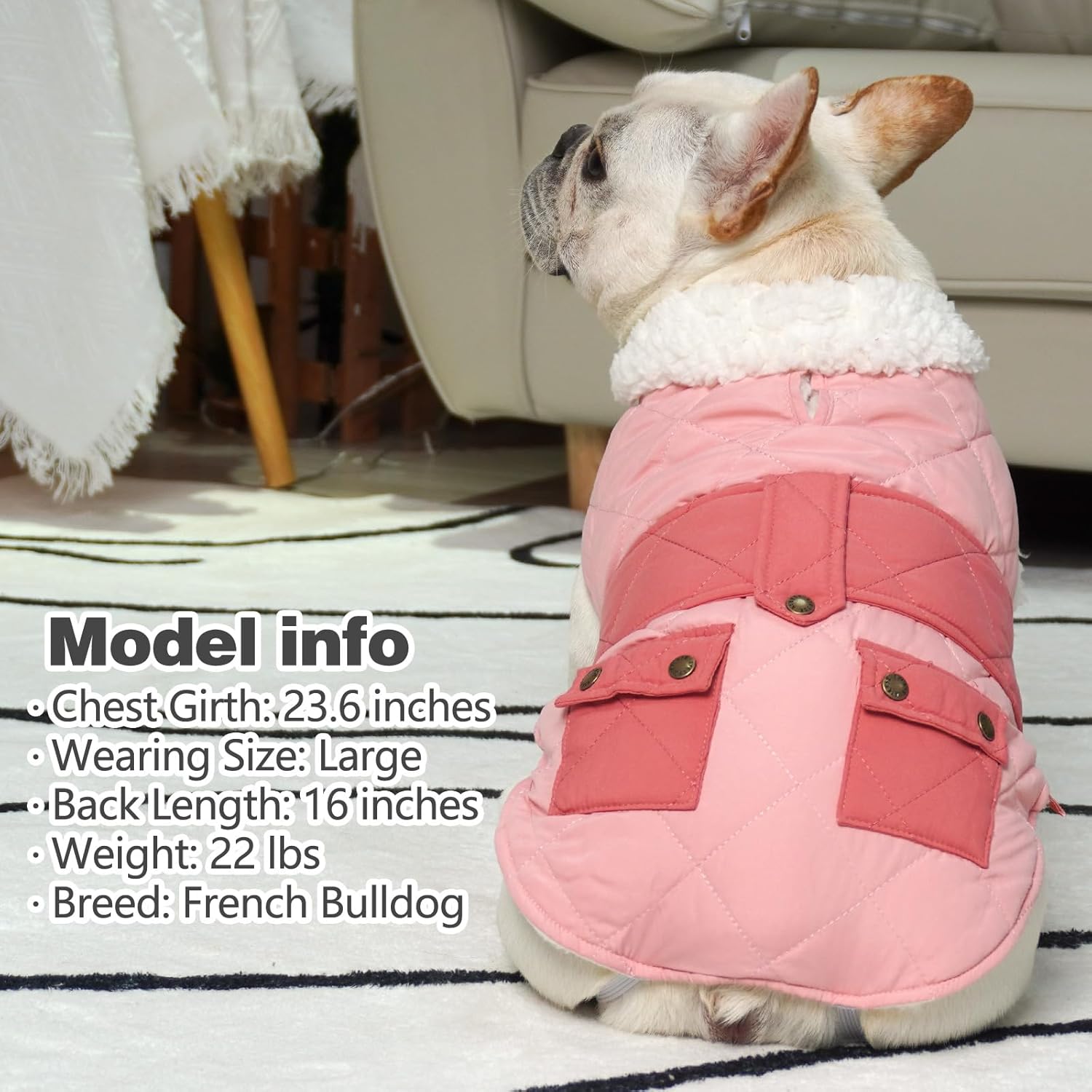 KYEESE Dog Coat Thick Cat Clothes with Pocket Soft Pet Sweater for Cold Weather Warm Pet Winter Puffer Coat with Leash Hole Waterproof Dogs Jacket with Fleece Lined Windproof Dog Coats for Small Dogs