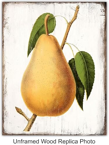 Miniatura 2 de Fruit Wall Art - Fruit Decor - Fruit Decorations - Botanical Prints - Rustic Kitchen Decor - Dining Room Decor - Cafe Wall Decor - Restaurant Decor