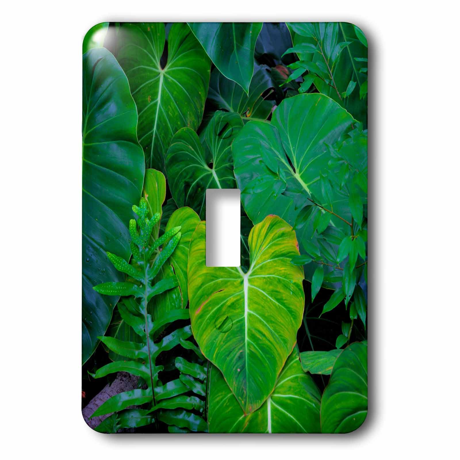 Commutateur à bascule tropical pour salon et chambre déco Hawaï Oahu multicolore