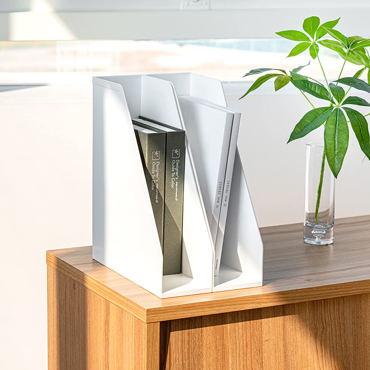 carrotez Office Rack/Display