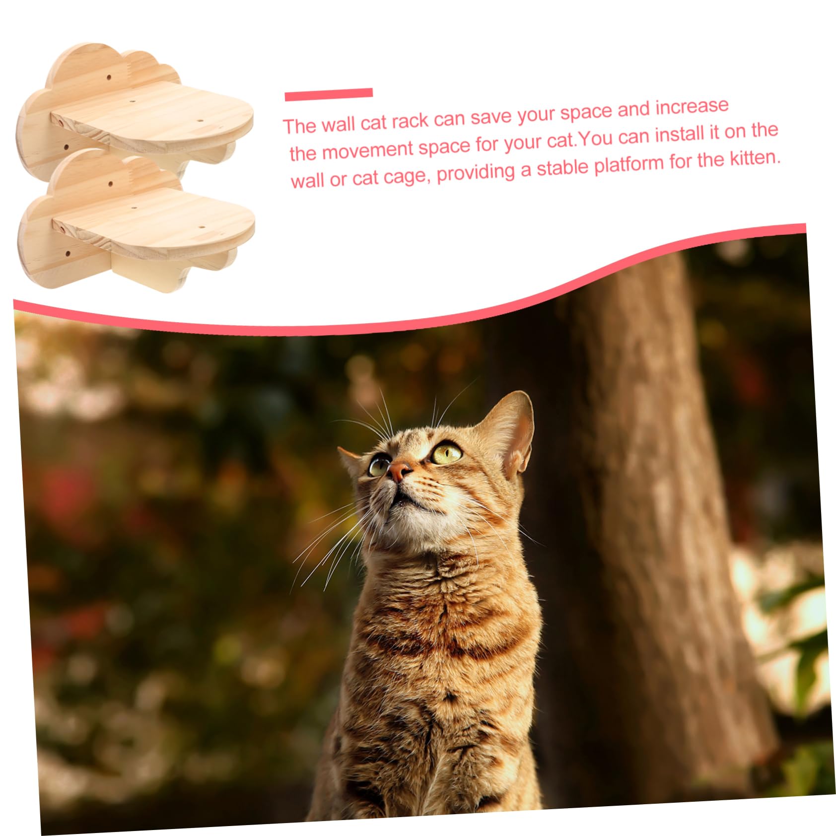 Wandtreppe für Katzen, 2 Stück, Stabil und Platzsparend