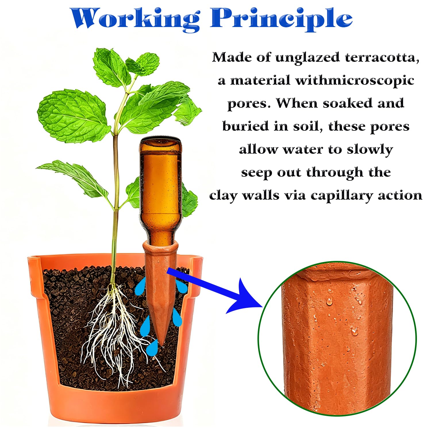 Dispositifs d'arrosage pour plantes en terre cuite - Pour intérieur et extérieur