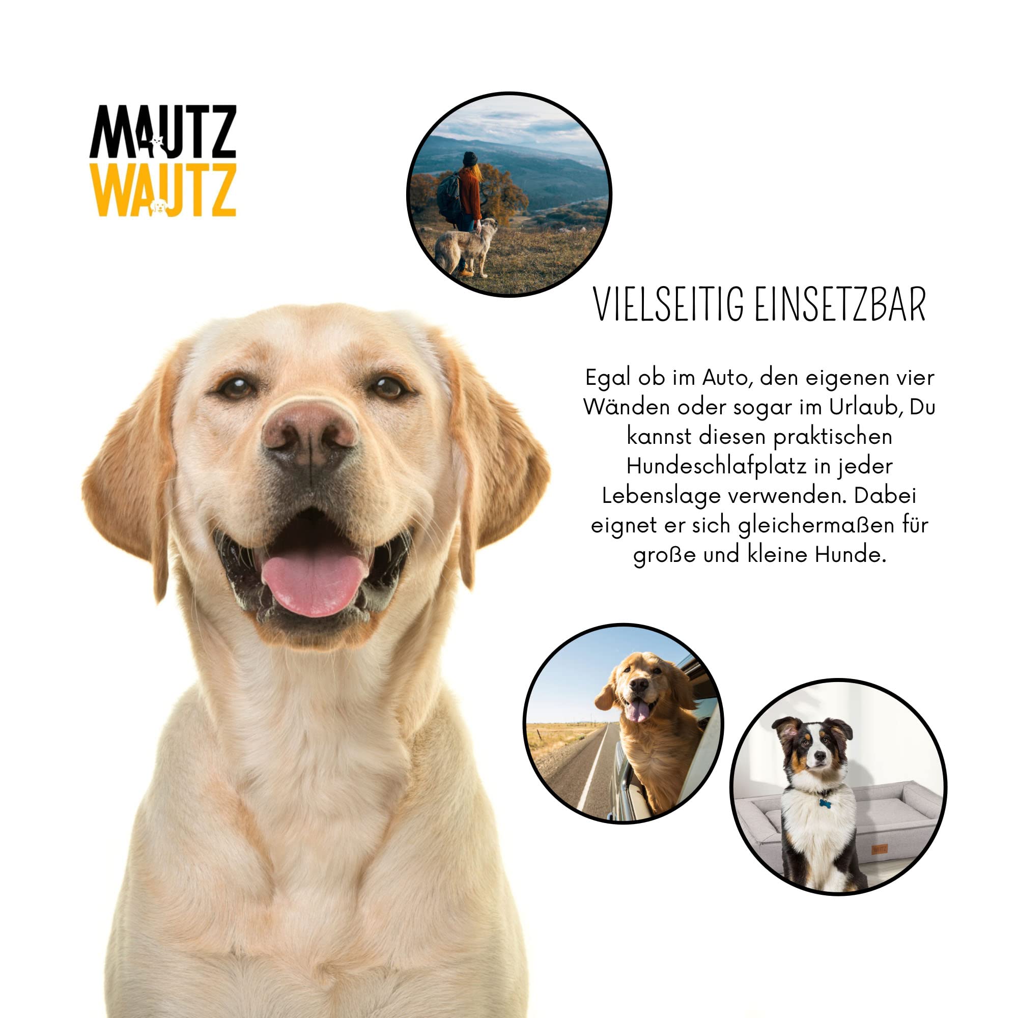 MSS e.K. Hundebett BOXBED 105 x 80 cm XL in Beige Hundekorb mit abnehmbaren Velours-Bezug und weicher Polsterung waschbares Hundekissen 105 x 80 x 19 cm Hundematte Hundesofa Welpenbett