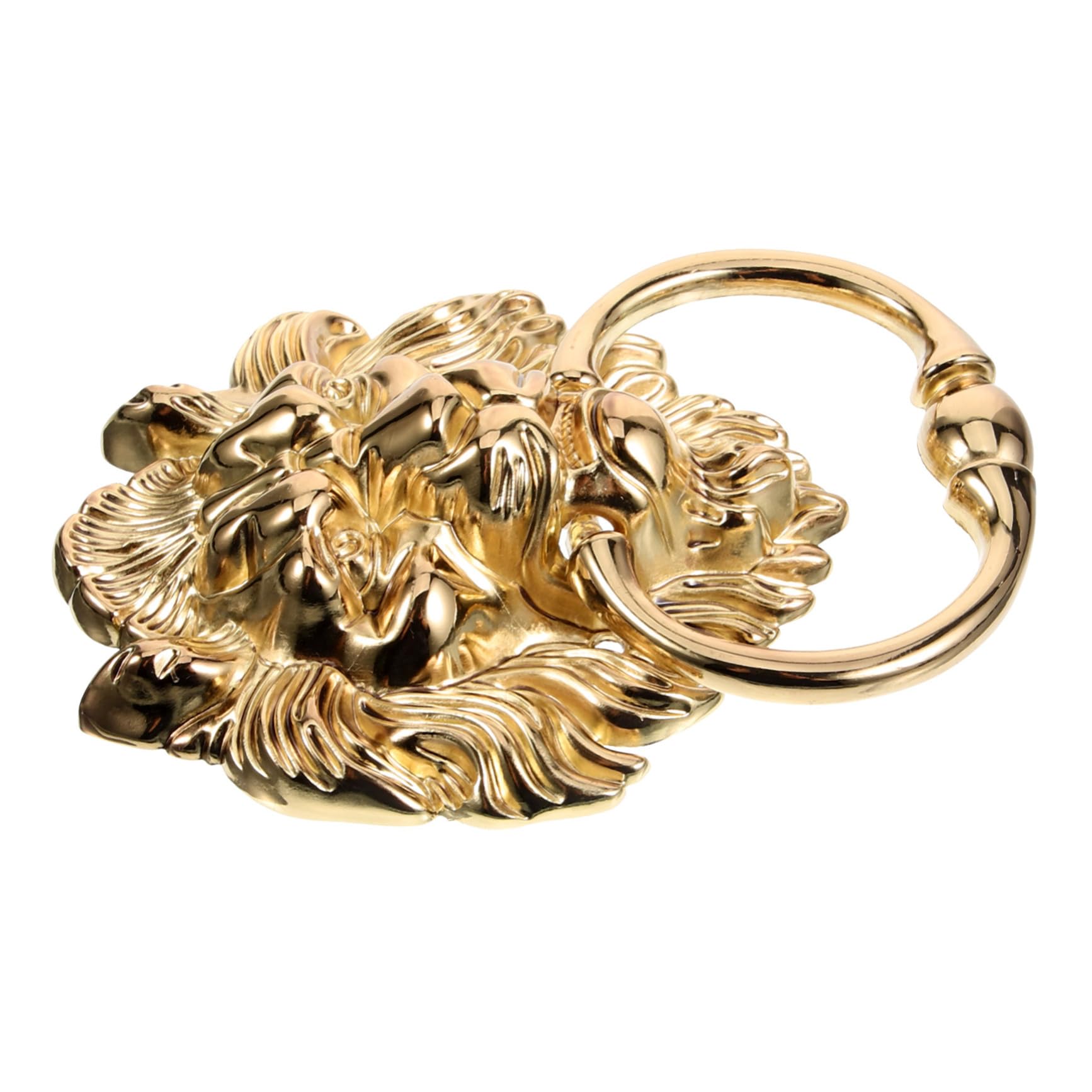Donnez du cachet à votre entrée avec ce heurtoir lion Baluue