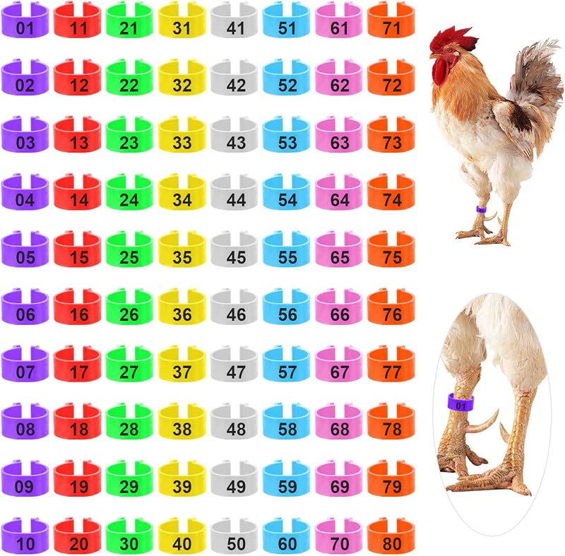 80 Pcs Chicken Leg Rings, 16mm Adjustable Chicken Leg Bands with 8 Colors Colorful 01-80 Numbered Duck Poultry Foot Identification Tags for Ducks Bantam Guinea Pigeons Goose Gamefowl