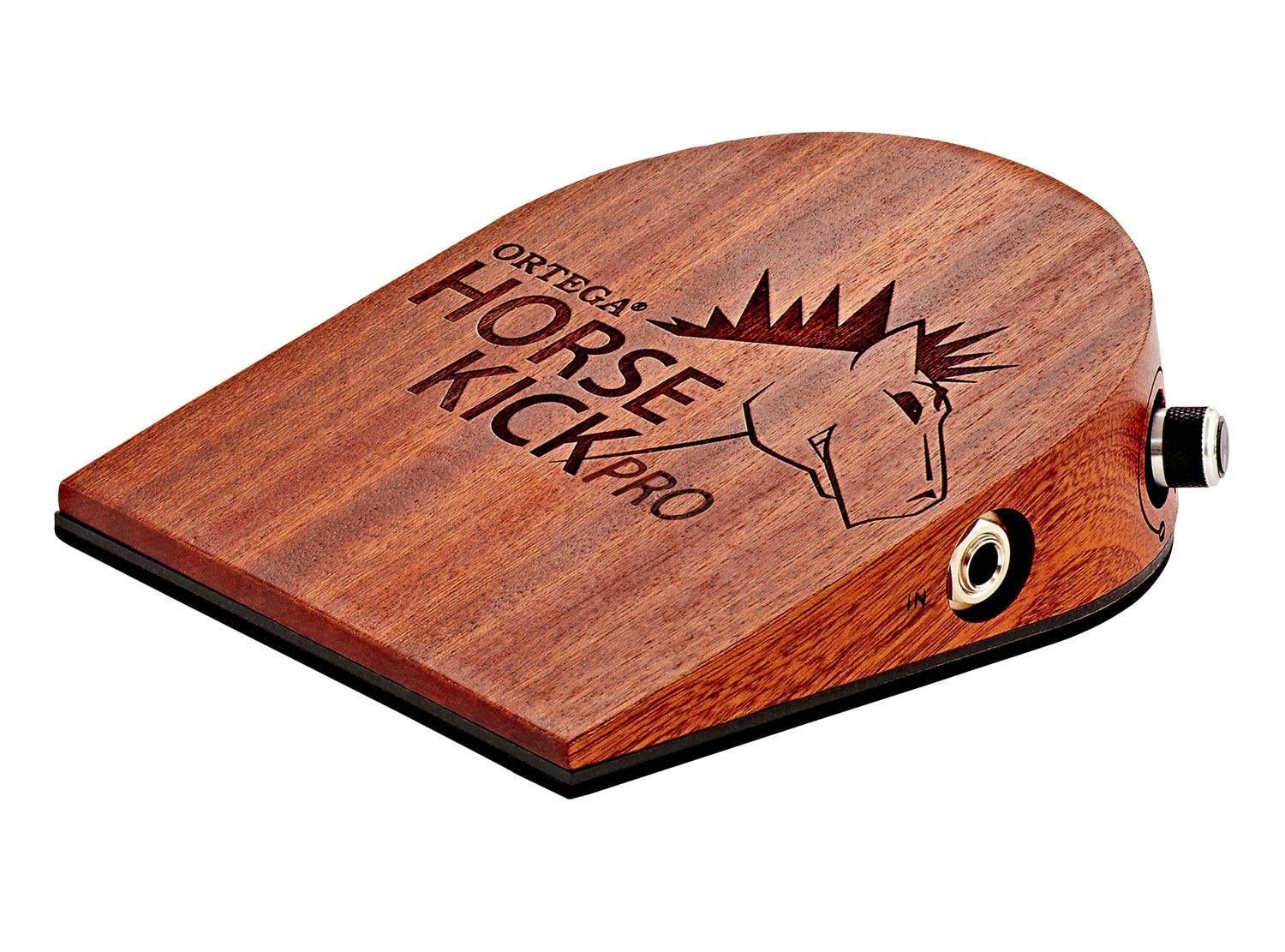 Amazon.com: Ortega Guitars Digital Singer-Songwriter Percussion 
