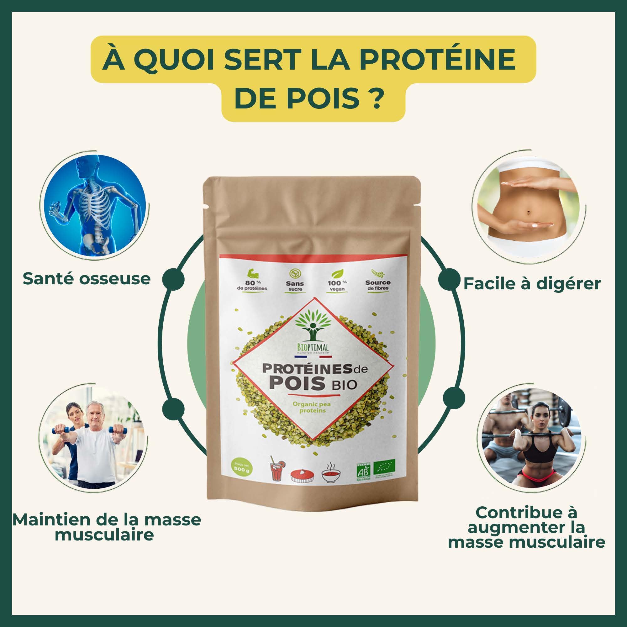 Proteina di Pois Bio - Biottimale - 80% Proteine - 12% BCAA - Alta Digestibilità - Energia Sport Musculare - Polvere di pois Giallo - 100% Puro - Confezione in Francia - Certificato Ecocert - 3 kg