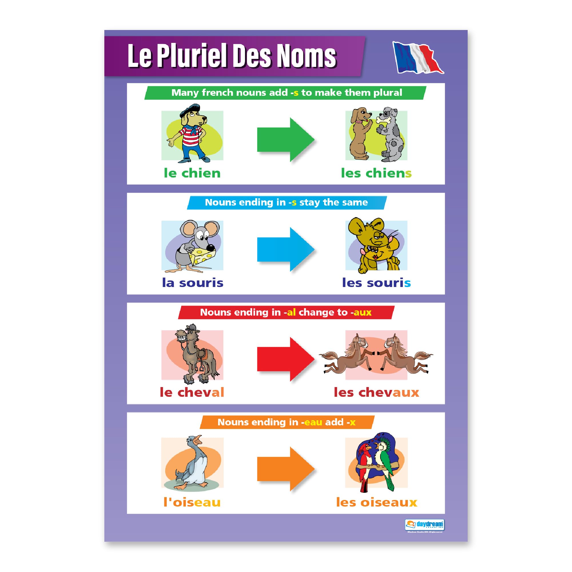 Le Pluriel des Noms | Language Learning Posters | Laminated Gloss Paper measuring 850mm x 594mm (A1) | Second Language Charts for the Classroom | Education Charts by Daydream Education