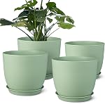 Pots végétaux 8 Ensemble de pouces 2, Pots de fleurs avec trous de drainage multimesh, Planteurs pour intérieur extérieur jardin plantes et fleurs (blanc)