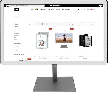 Bigme B251 カラー電子ペーパーディスプレイ Amazon.com: Bigme B251-World's 1st E Ink Color Monitor with