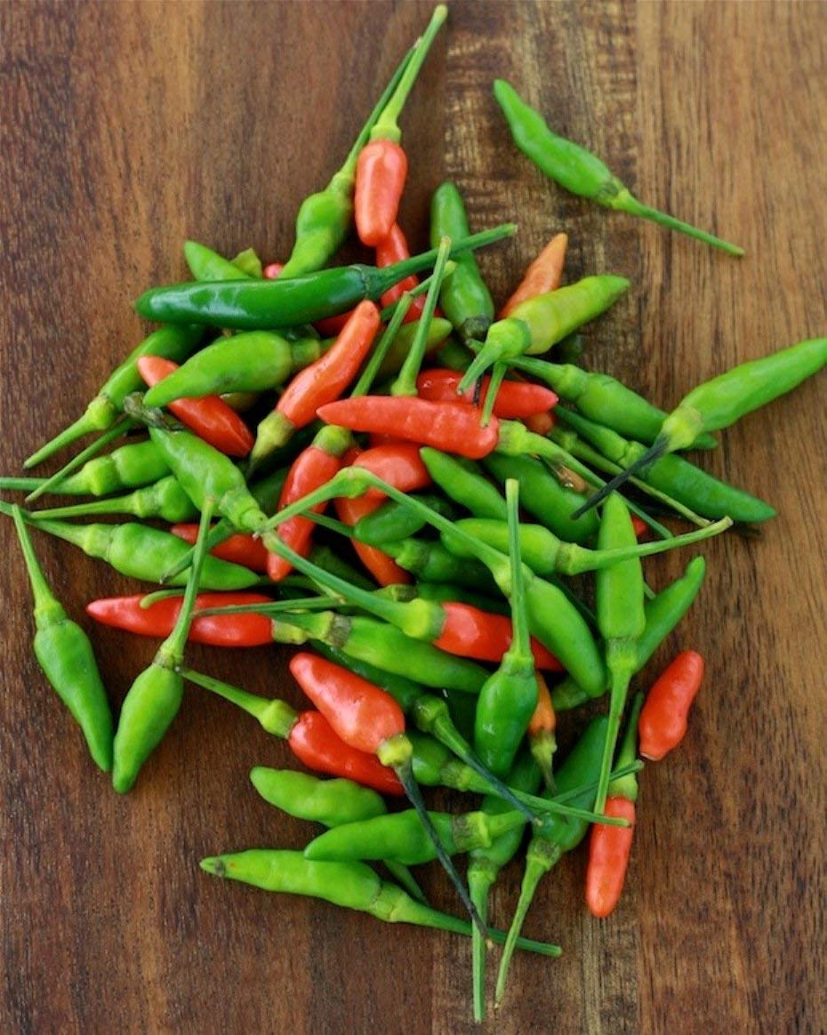 Golden Hills Farm hybrid African Bird Eye Chilli Kanthari Mulaku,Thai Pepper 50+ seeds (B092JS7S52) Amazon Price History, Amazon Price Tracker